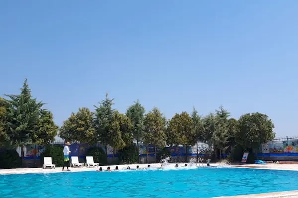 Akçakale Yüzme Havuzu - Resim 2