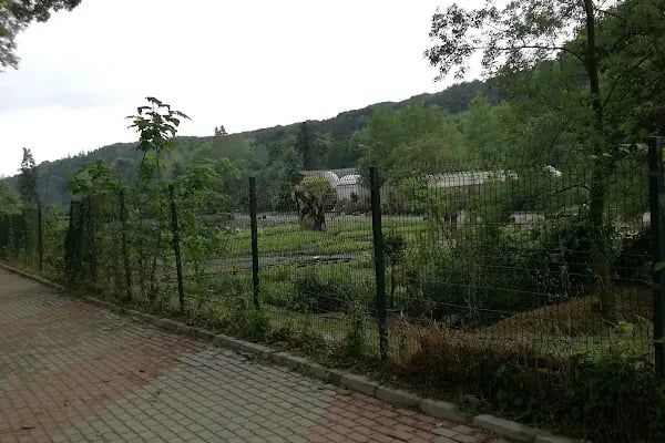 Bahcekoy Milli Parklar Sefligi - Resim 14