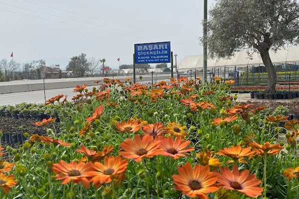 Başarı Çiçekçilik - Resim 16