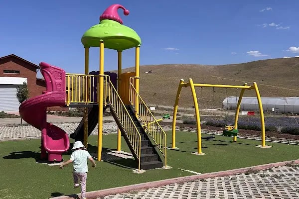 Afşin Lavanta Bahçesi - Resim 1