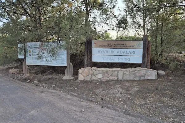 Ayvalık Adaları Tabiat Parkı - Resim 5