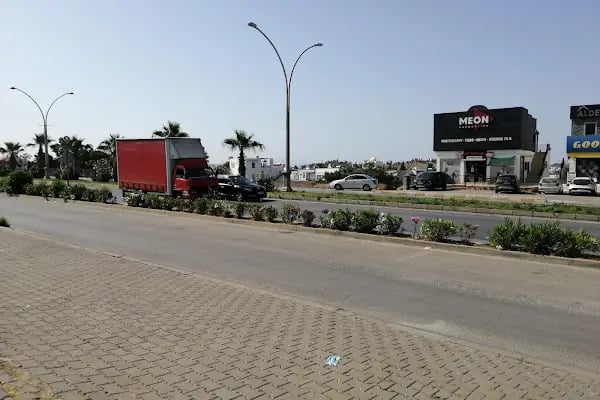 Bodrum Bellona Mobilya Mağazası - Resim 9