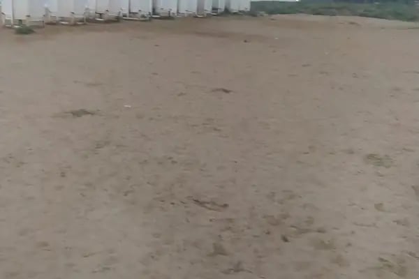 Zeytinbeli Belediye Kamp Alanı - Resim 6