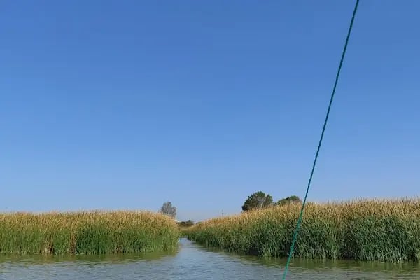 Apolyont-Gölyazı - Resim 18