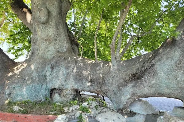Apolyont-Gölyazı - Resim 5