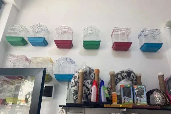SİYA PET SHOP - Resim 8