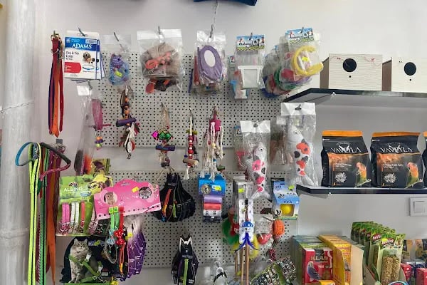 SİYA PET SHOP - Resim 18
