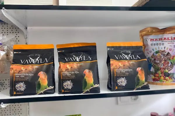 SİYA PET SHOP - Resim 6