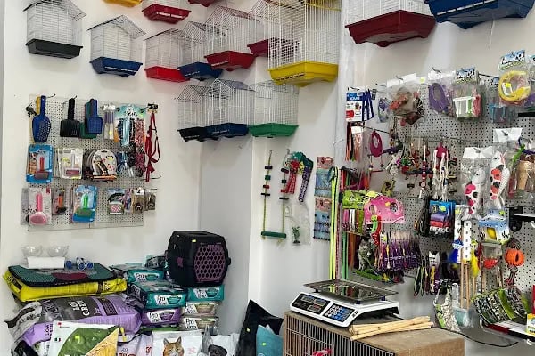 SİYA PET SHOP - Resim 5