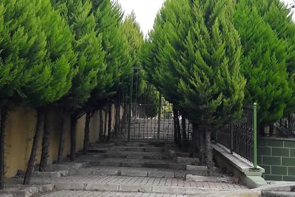 Hazreti İmam Zeynel Abidin Cami - Resim 18