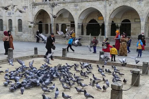 Buski Düğün Salonu - Resim 11