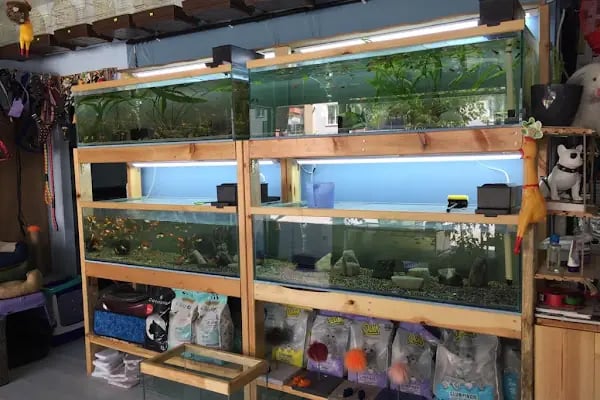 Nil Pet Shop - Resim 2