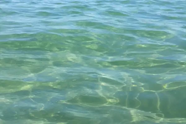 Bursa Büyükşehir Belediyesi Eşkel Halk Plajı - Resim 6