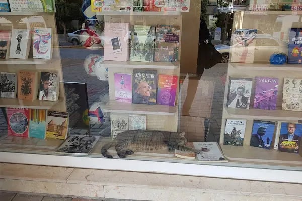 Çınar Kitabevi Kırtasiye - Resim 19