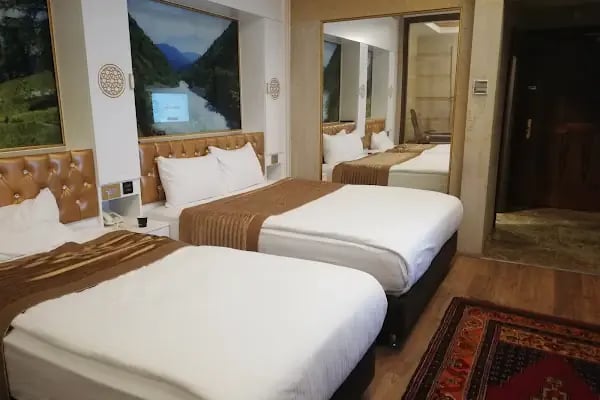 Gherdan Park Otel - Resim 10