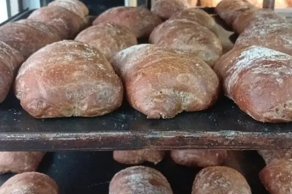 Saray Ekmek ve Unlu Mamülleri - Resim 10