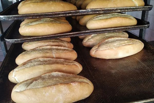 Saray Ekmek ve Unlu Mamülleri - Resim 3