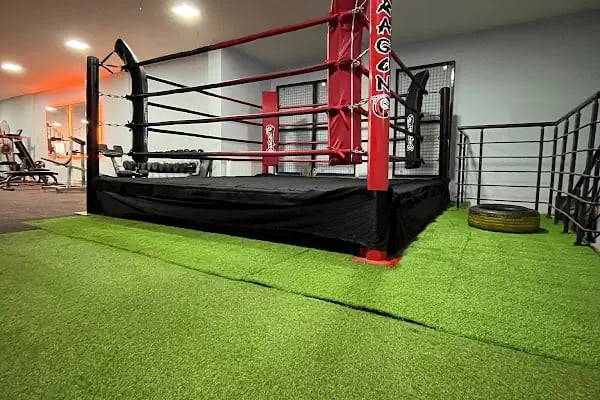 AKT ATHLETIC SPORTS PURSAKLAR - Resim 2