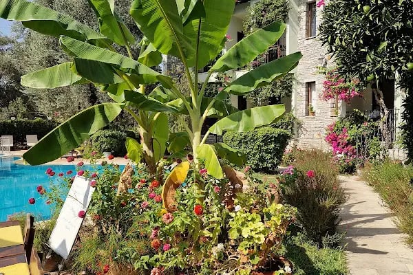 Olive Garden Apart Otel - Resim 8