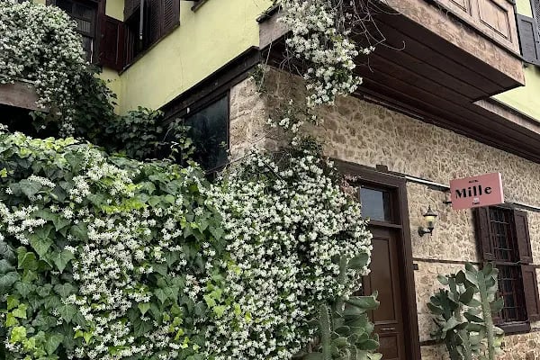 Hotel Mille Kaleiçi - Resim 10