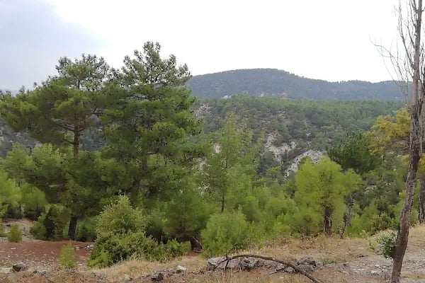 Kolak Gölü Piknik ve Kamp Alanı - Resim 8