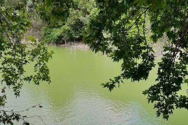 Kolak Gölü Piknik ve Kamp Alanı - Resim 12