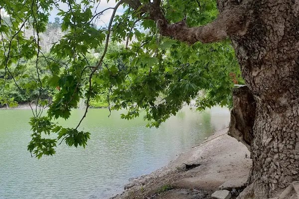 Kolak Gölü Piknik ve Kamp Alanı - Resim 13