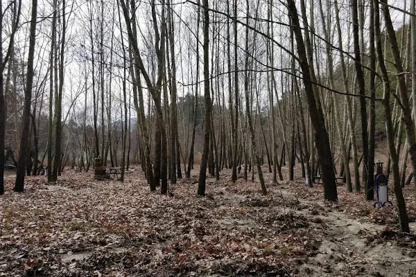 Kolak Gölü Piknik ve Kamp Alanı - Resim 4