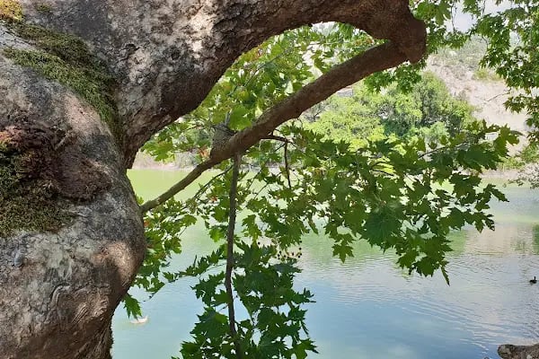 Kolak Gölü Piknik ve Kamp Alanı - Resim 17