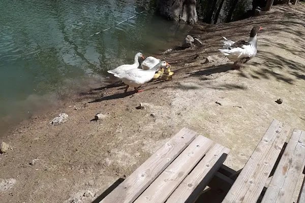 Kolak Gölü Piknik ve Kamp Alanı - Resim 7