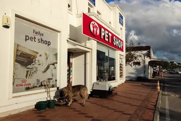 Farilya Petshop - Resim 1