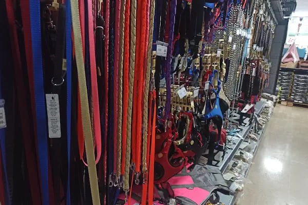 Farilya Petshop - Resim 8