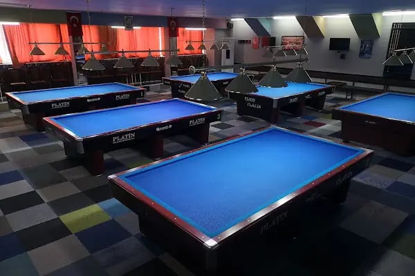Ekol Bilardo - Resim 7