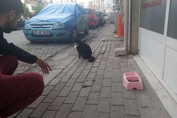 Alaybey Veteriner Kliniği - Resim 8