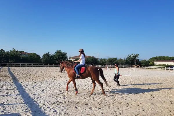 Menderes Atlı Spor Kulübü - Resim 9
