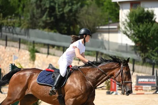 Menderes Atlı Spor Kulübü - Resim 3