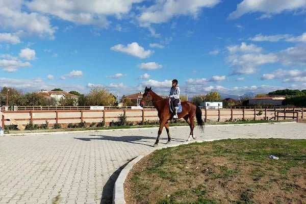 Menderes Atlı Spor Kulübü - Resim 4