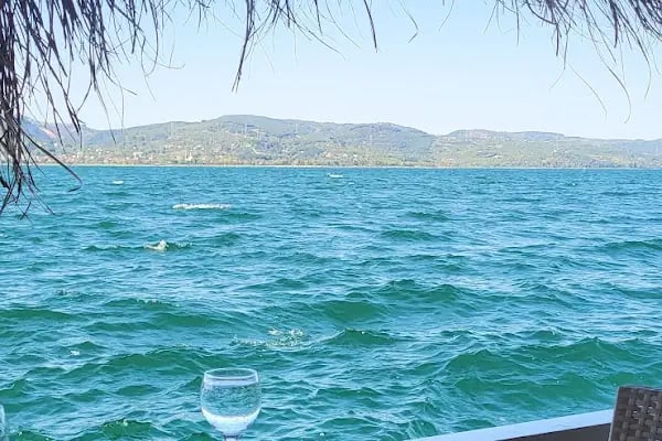 Green Blue Restaurant - Resim 9