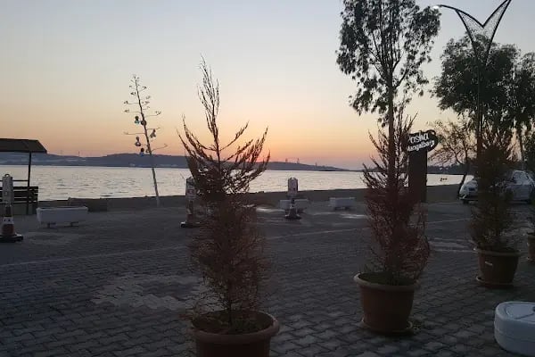 PASHA MANGALBAŞI - Resim 6
