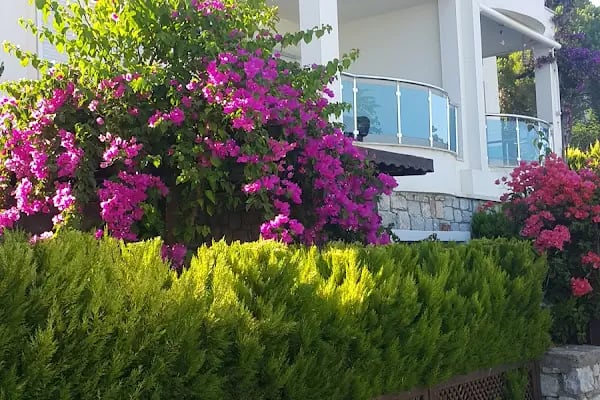 Auro Residence - Resim 3
