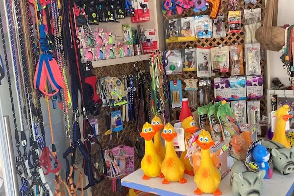 Sunny Petshop - Resim 18
