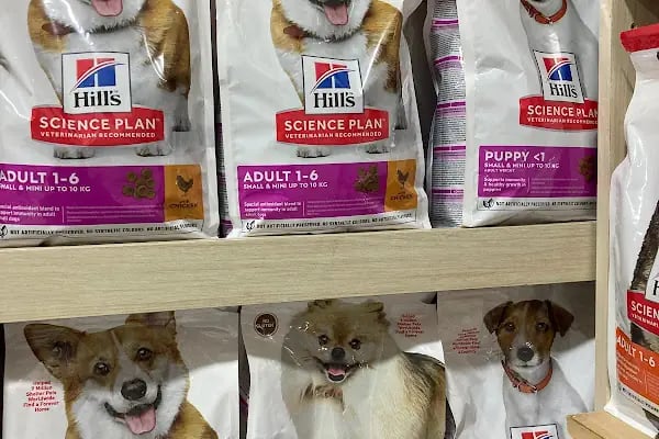 Sunny Petshop - Resim 20