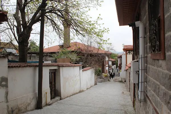 Telli Hacıhalil Cami - Resim 10