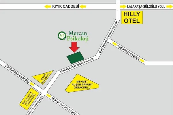 KLİNİK PSİKOLOG İMREN MERCAN - Resim 18
