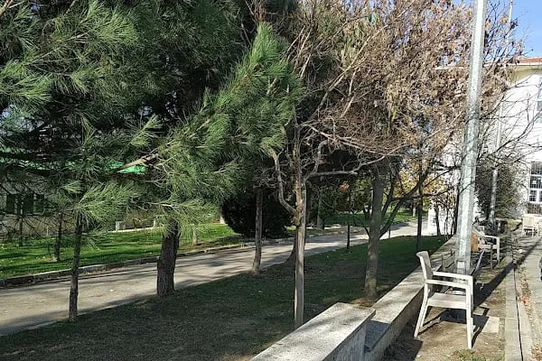 T.C. Namık Kemal Üniversitesi Çorlu Mühendislik Fakültesi - Resim 16