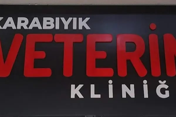 Karabıyık Veteriner Kliniği - Resim 4