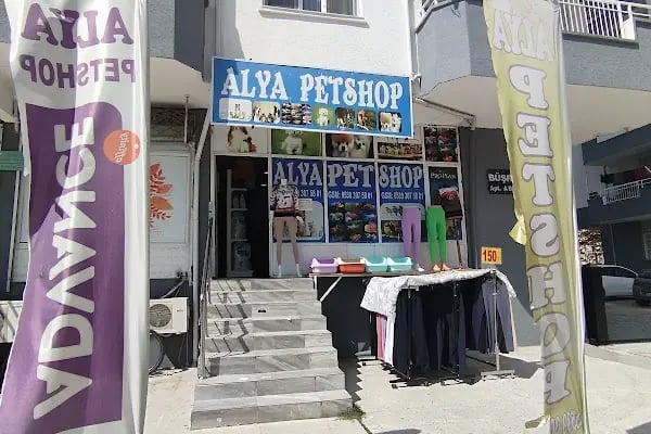 Alya Petshop - Resim 5