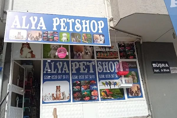 Alya Petshop - Resim 3