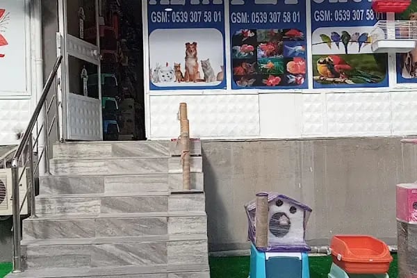 Alya Petshop - Resim 7