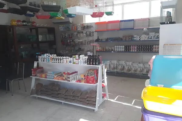 Alya Petshop - Resim 8